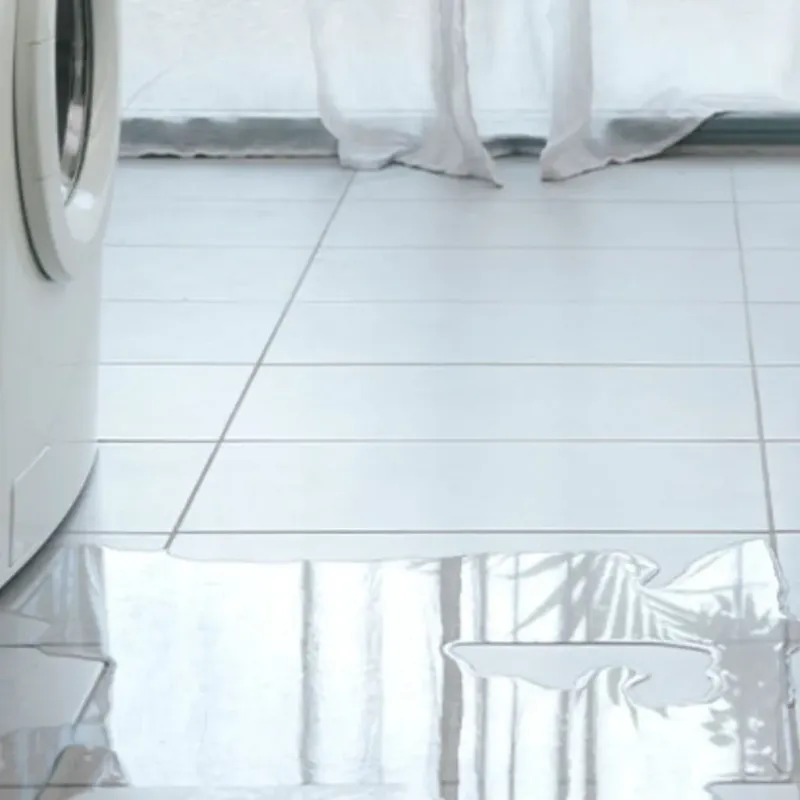 Appliance Leak Cleanup in Erma, NJ