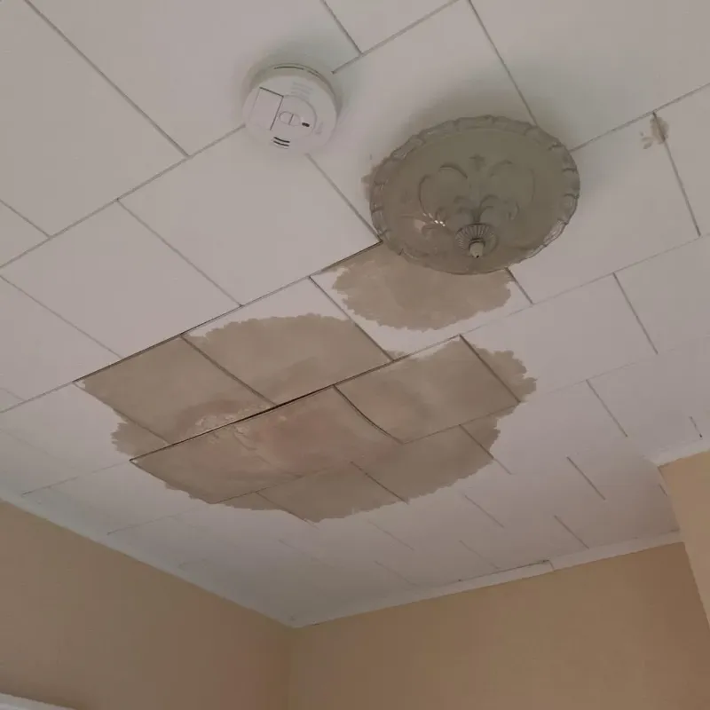 Ceiling Water Damage Repair in Erma, NJ